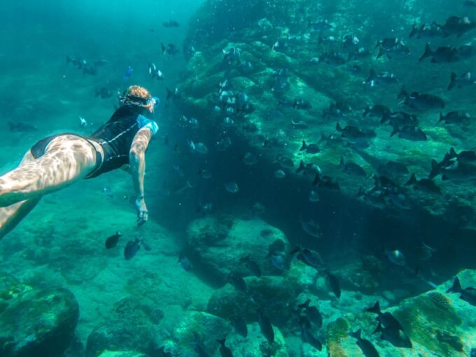 Krabi: Private Phi Phi Islands Snorkeling & Sightseeing Tour - Snorkeling and Sightseeing