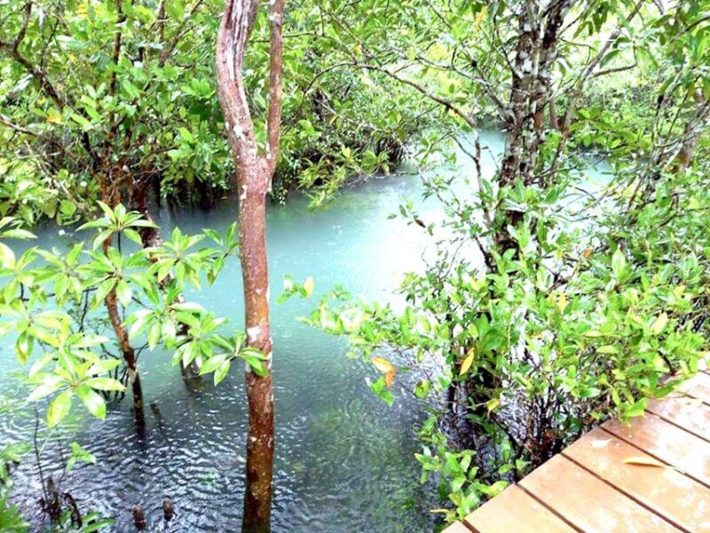 Krabi: Private Trip to Tiger Cave Temple & Waterfall - Attractions and Experiences