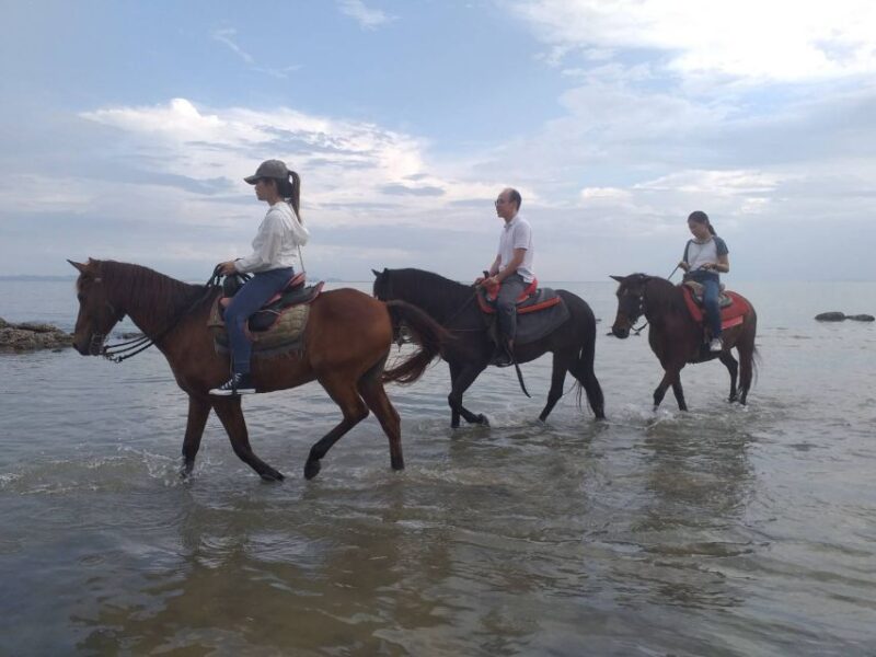 Krabi Province: City Tour With 1-Hour Beach Horse Ride - Booking Information