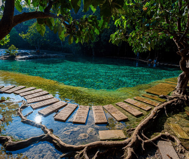Krabi: Rainforest Jungle Tour With Emerald Pool & Hot Spring - Exploring the Lush Jungles and Exotic Wildlife