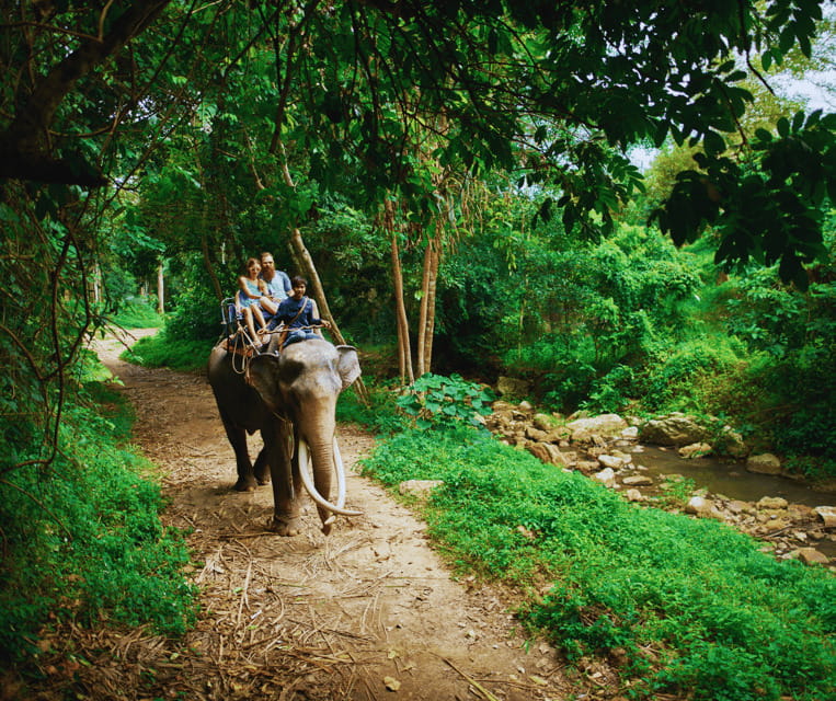 Krabi: Rainforest Jungle Tour With Emerald Pool & Hot Spring - Traversing the Suspension Bridge and Rainforest Canopy