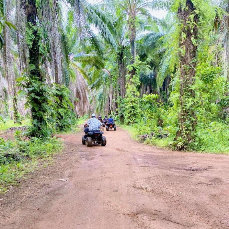 Krabi: Saitai Mountain Tail ATV Adventure - Customer Feedback and Experience