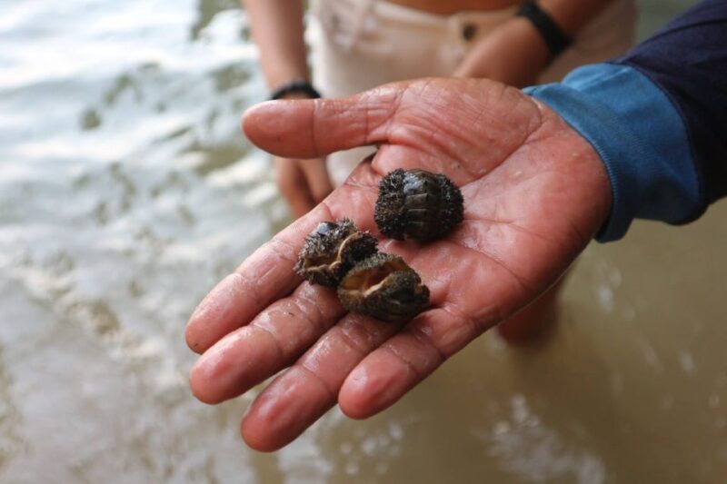 Krabi: Sea Cave Kayaking Tour With Lae Nai Lagoon and Lunch - Inclusions and Exclusions