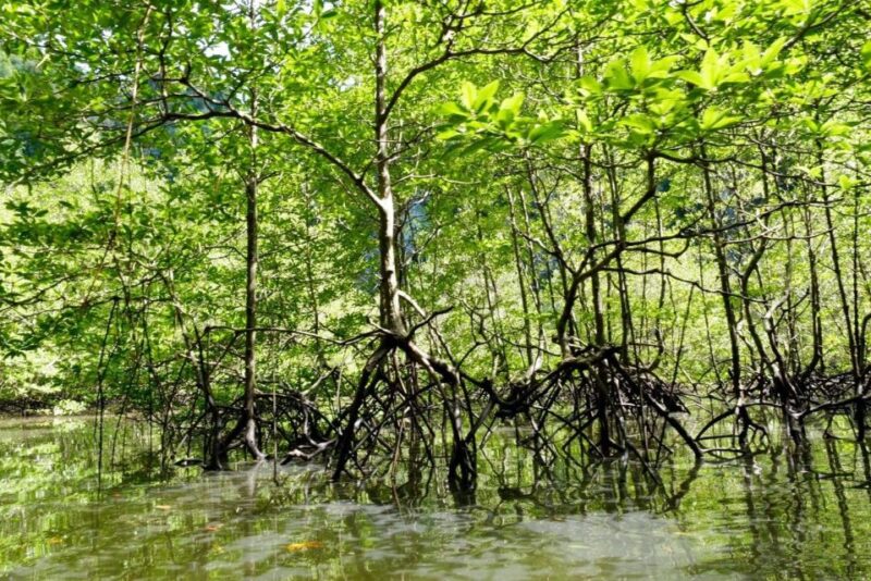 Krabi: Sea Cave Kayaking Tour With Nai Nang Village & Lunch - Included in the Tour