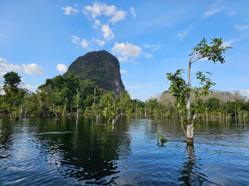 Krabi: South Kayak Klong Root Kayaking Tour - Experience Highlights