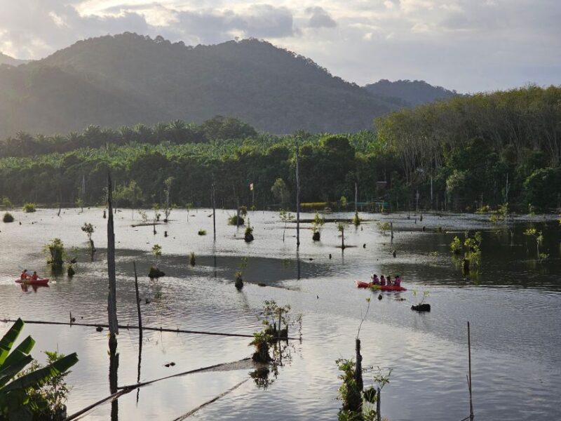 Krabi: South Kayak Klong Root Kayaking Tour - Exclusions and Restrictions