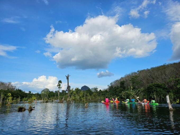 Krabi: South Kayak Klong Root Kayaking Tour - Mangrove Ecosystem