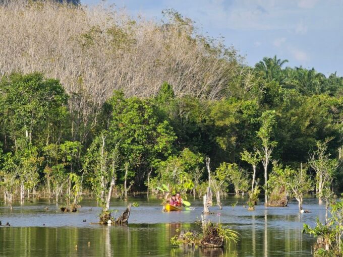 Krabi: South Kayak Klong Root Kayaking Tour - Additional Activities