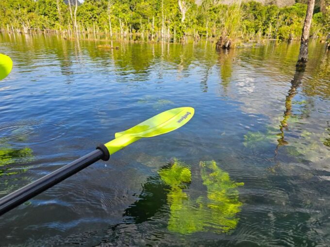 Krabi: South Kayak Klong Root Kayaking Tour - Frequently Asked Questions