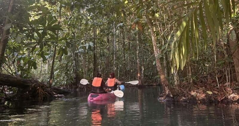 Krabi: Sunset Kayaking through Klong Root - Authentic Perspectives from Past Travelers