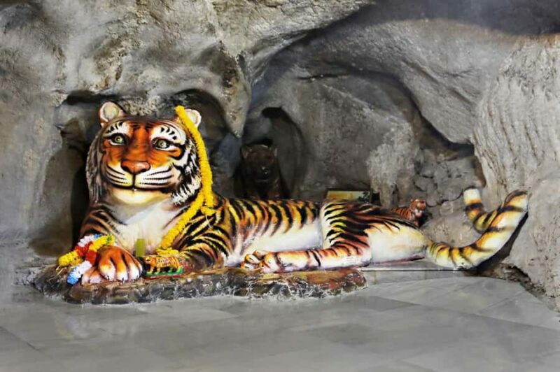 Krabi: Tiger Cave and Night Market Experience - A Closer Look at the Tour Experience