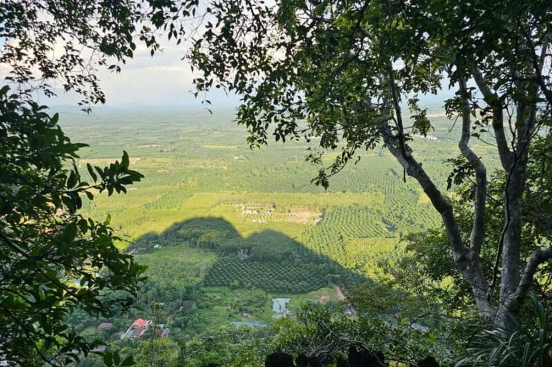 Krabi: Tiger Cave and Night Market Experience - Who Will Love This Tour?