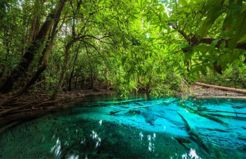 Krabi Tiger Cave , Emerald Pool, Hosspring Waterfall Jungle - Participant Information