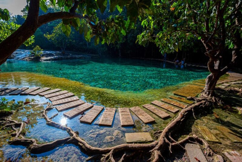 Krabi Tiger Cave , Emerald Pool, Hosspring Waterfall Jungle - Customer Feedback