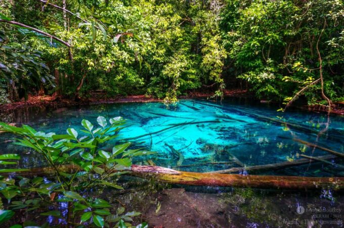 Krabi Tiger Cave , Emerald Pool, Hosspring Waterfall Jungle - Booking and Cancellation
