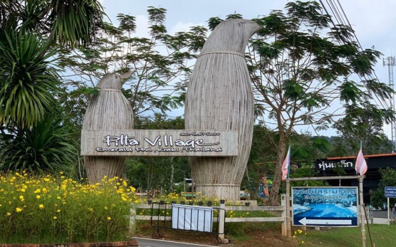 Krabi: Tiger Cave, Hot Springs and Emerald Pool Jungle Tour - Inclusions and Exclusions