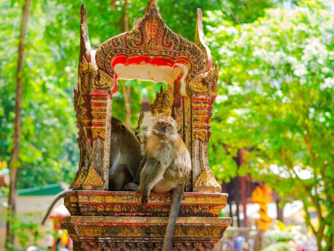 Krabi: Tiger Cave, Hot Springs & Emerald Pool Private Tour - Swimming in Emerald Pool