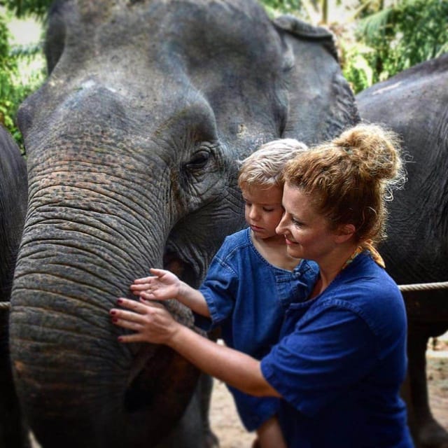 Krabi: Tiger Cave Temple and Elephant Sanctuary Visit - Key Points