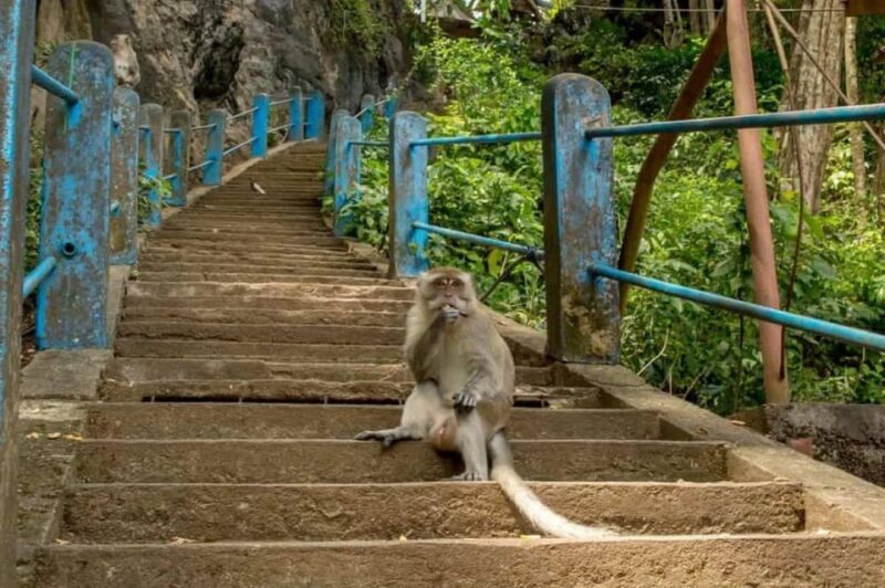 Krabi: Tiger Cave Temple and Elephant Sanctuary Visit - Itinerary Overview