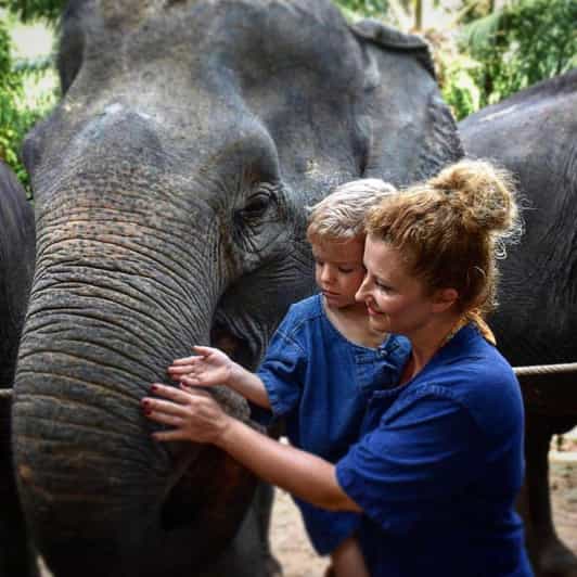 Krabi: Tiger Cave Temple and Elephant Sanctuary Visit - Elephant Sanctuary Programs