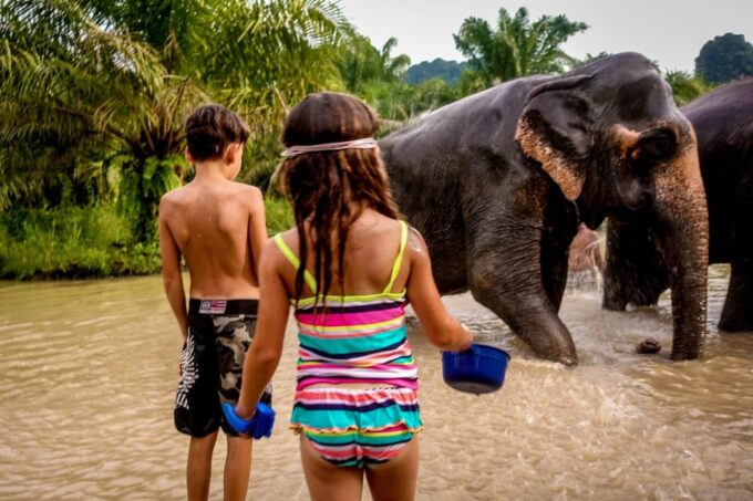 Krabi: Tiger Cave Temple and Elephant Sanctuary Visit - Pickup and Drop-off Locations