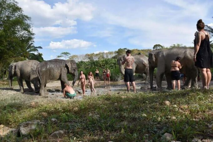 Krabi: Tiger Cave Temple and Elephant Sanctuary Visit - Exploring Tiger Cave Temple