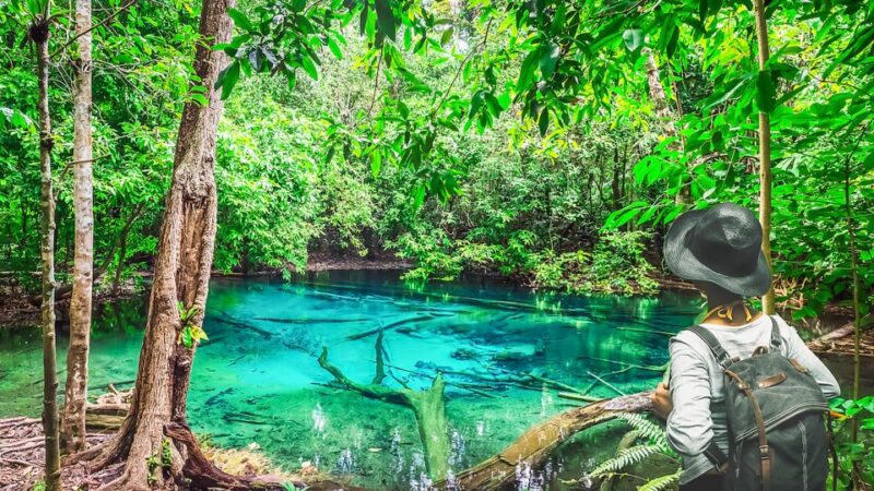Krabi: Tiger Cave Temple, Emerald Pool and Hot Springs Tour - What to Bring and Dress Code