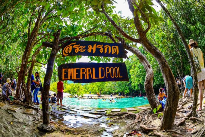 Krabi: Tiger Cave Temple, Emerald Pool and Hot Springs Tour - Discovering the Emerald Pool