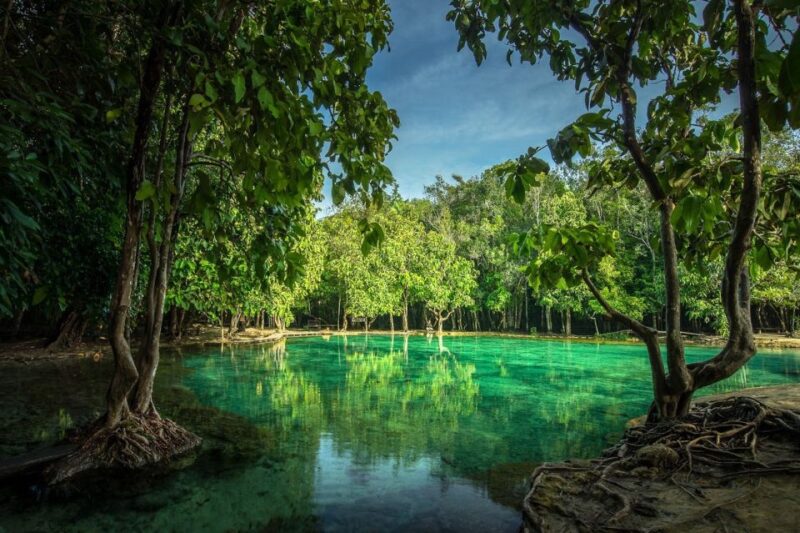 Krabi: Tiger Temple, Hot Springs & Crystal Pool Jungle Tour - Itinerary and Activities