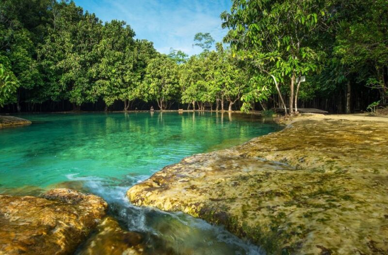Krabi: Tiger Temple, Hot Springs & Crystal Pool Jungle Tour - Customer Feedback and Ratings