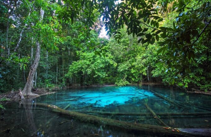 Krabi: Tiger Temple, Hot Springs & Crystal Pool Jungle Tour - Safety Considerations