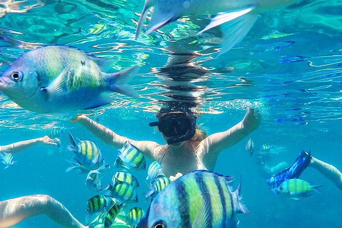 Krabi to Phi Phi Islands by Speedboat - Destination Overview: Koh Phi Phi