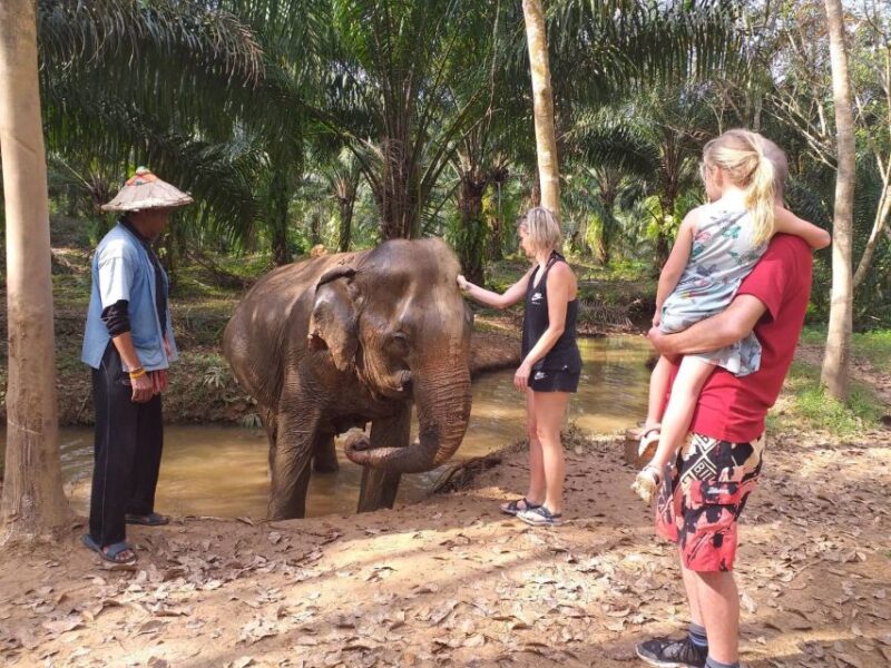 Krabi: Tour of Elephant Care House and Tiger Cave Temple - Elephant Care House