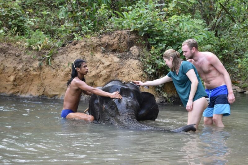 Krabi: Tour of Elephant Care House and Tiger Cave Temple - Ethical Approach