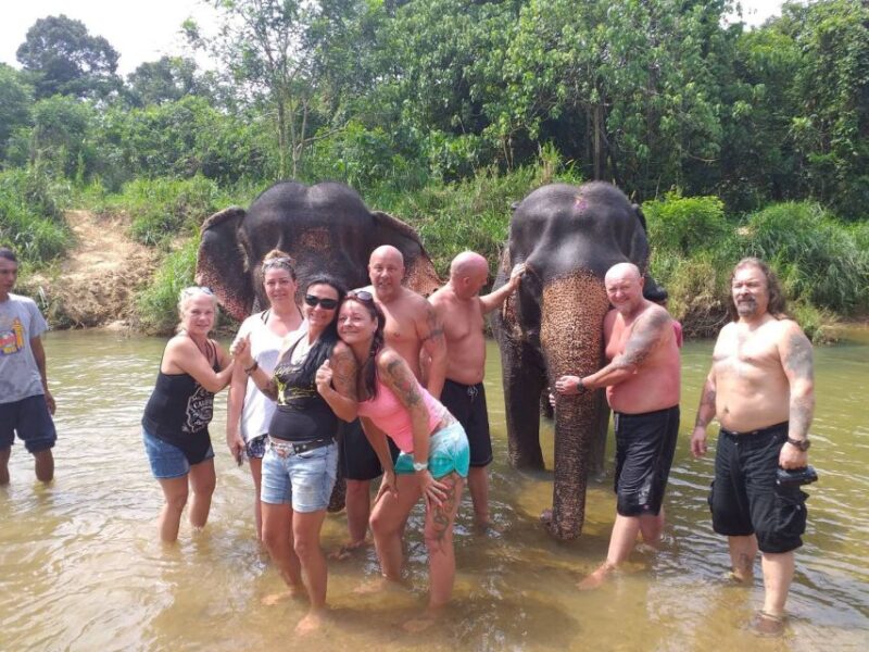 Krabi: Tour of Elephant Care House and Tiger Cave Temple - Panoramic Views