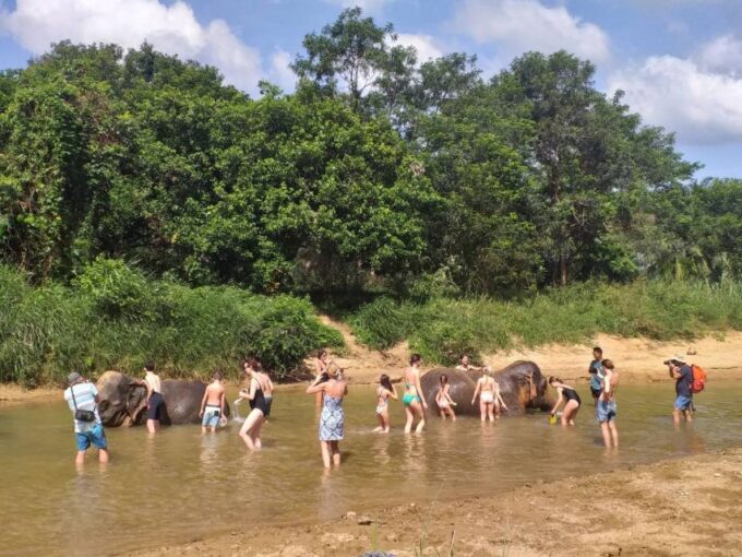 Krabi: Tour of Elephant Care House and Tiger Cave Temple - Customer Feedback