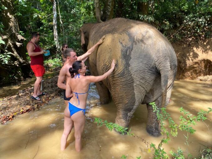 Krabi: Tour of Elephant Care House and Tiger Cave Temple - Frequently Asked Questions