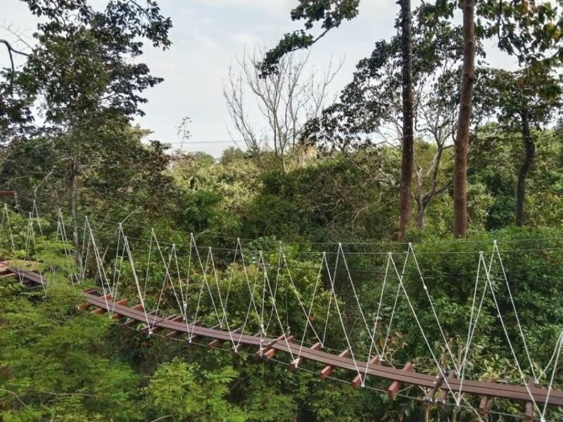 Krabi Zipline Adventure - Key Points