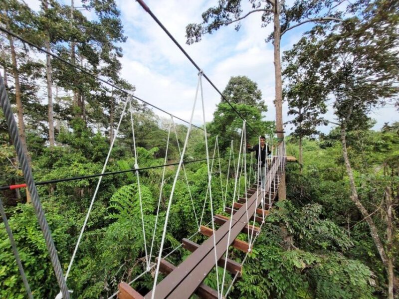 KRABI Zipline & Canopy TreeTop Walk - Adventure Course and Activities