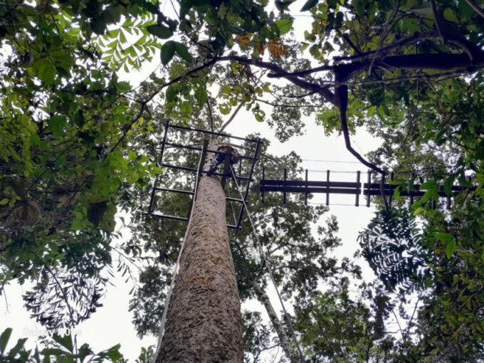 KRABI Zipline & Canopy TreeTop Walk - Booking and Cancellation Policy