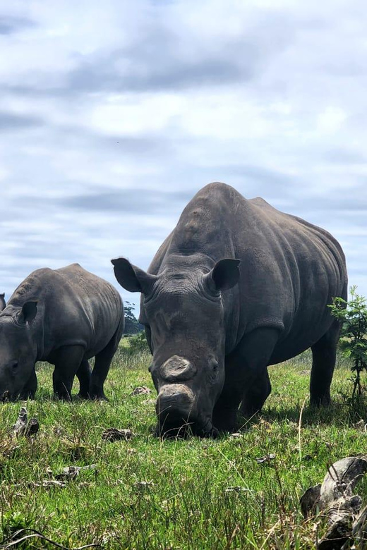 Kragga Kamma Game Park Full Day Safari - Key Points