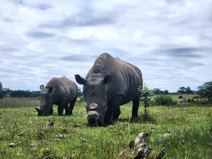 Kragga Kamma Game Park Half Day Safari - Pickup and Drop-off Locations