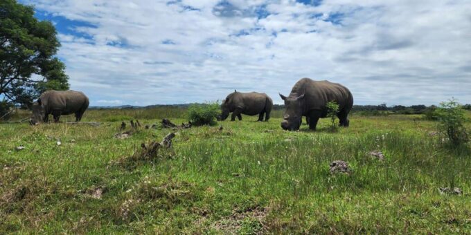 Kragga Kamma Game Park Half Day Safari - Frequently Asked Questions