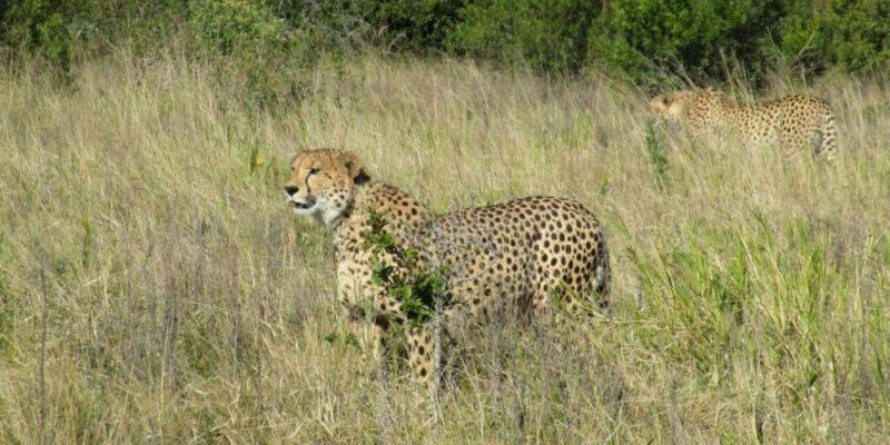 Kragga Kamma Game Park: Safari / Shore Excursions - Location and Accessibility