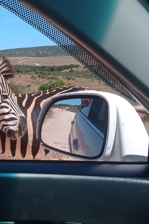 KRAGGA KAMMA GAME PARK - Key Points