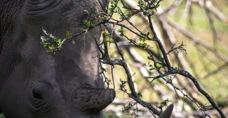 KRAGGA KAMMA GAME PARK - Explore Natural Beauty