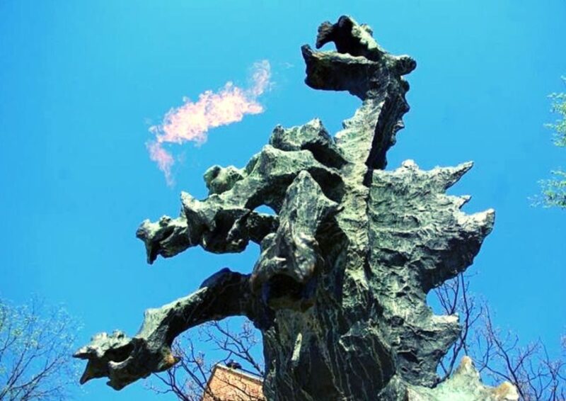 Krakow and Auschwitz Small-Group Tour From Lodz With Lunch - Key Points