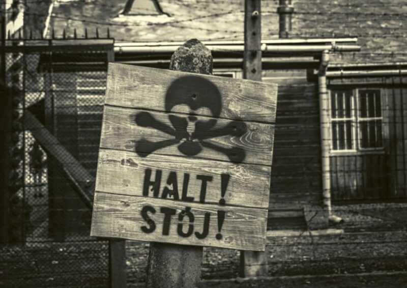 Krakow and Auschwitz Small-Group Tour From Lodz With Lunch - Auschwitz and Birkenau Camps