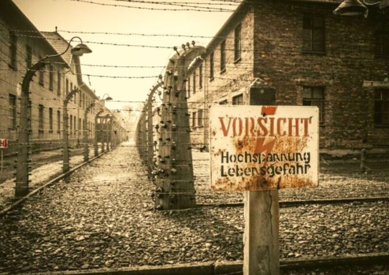 Krakow and Auschwitz Small-Group Tour From Lodz With Lunch - Inclusions and Requirements