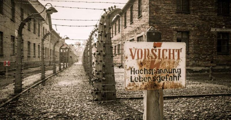 Krakow and Auschwitz Small-Group Tour From Warsaw With Lunch - Tour Highlights